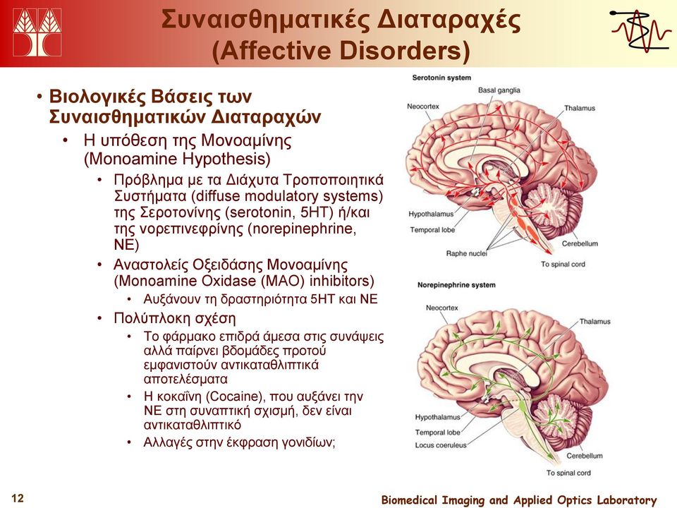 Μονοαμίνης (Monoamine Oxidase (MAO) inhibitors) Αυξάνουν τη δραστηριότητα 5HT και NE Πολύπλοκη σχέση Το φάρμακο επιδρά άμεσα στις συνάψεις αλλά παίρνει βδομάδες