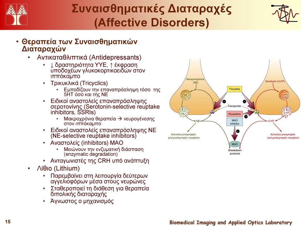 θεραπεία νευρογένεσης στον ιππόκαμπο Ειδικοί αναστολείς επαναπρόσληψης NE (NE-selective reuptake inhibitors) Αναστολείς (inhibitors) MAO Μειώνουν την ενζυματική διάσπαση (enzymatic degradation)