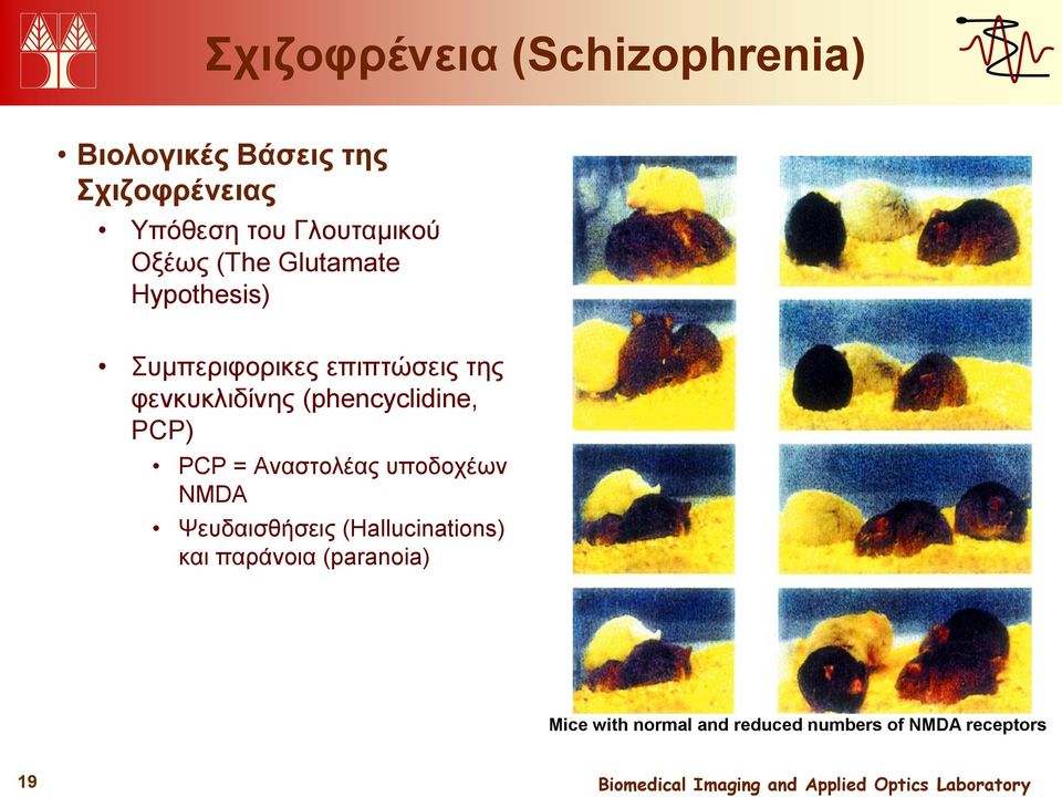 φενκυκλιδίνης (phencyclidine, PCP) PCP = Αναστολέας υποδοχέων NMDA Ψευδαισθήσεις