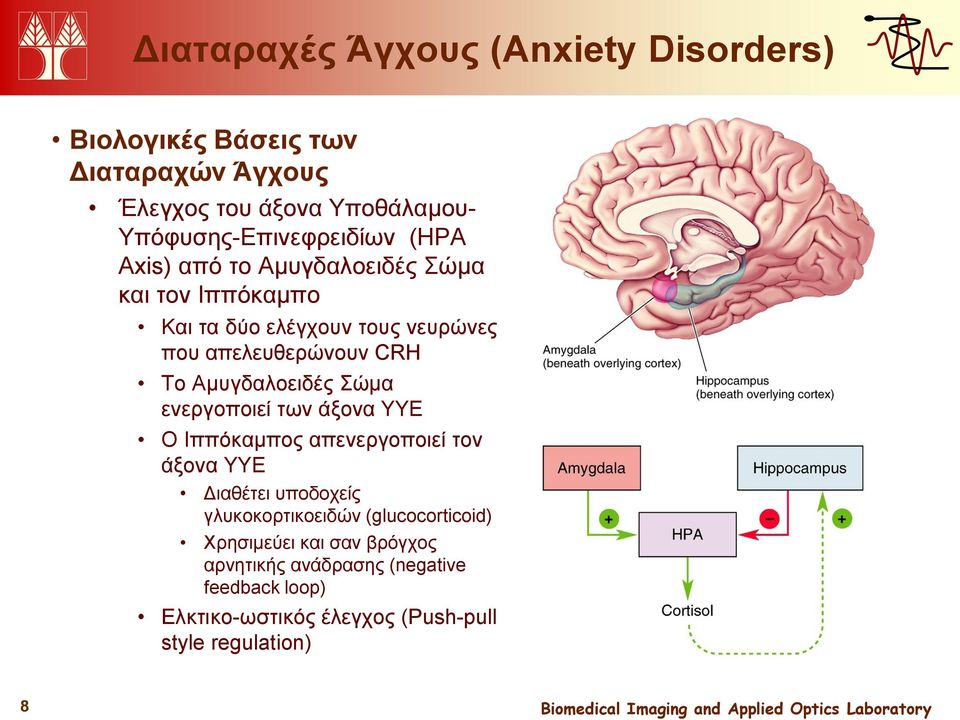απελευθερώνουν CRH Το Αμυγδαλοειδές Σώμα ενεργοποιεί των άξονα ΥΥΕ Ο Ιππόκαμπος απενεργοποιεί τον άξονα ΥΥΕ Διαθέτει υποδοχείς