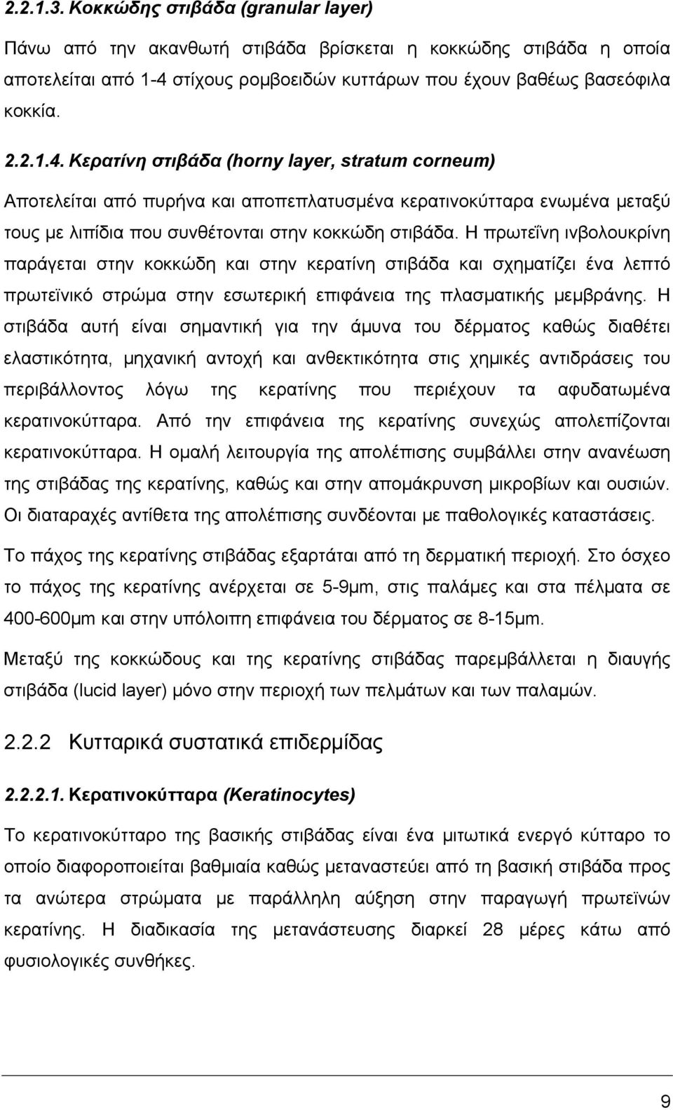 Κερατίνη στιβάδα (horny layer, stratum corneum) Αποτελείται από πυρήνα και αποπεπλατυσµένα κερατινοκύτταρα ενωµένα µεταξύ τους µε λιπίδια που συνθέτονται στην κοκκώδη στιβάδα.