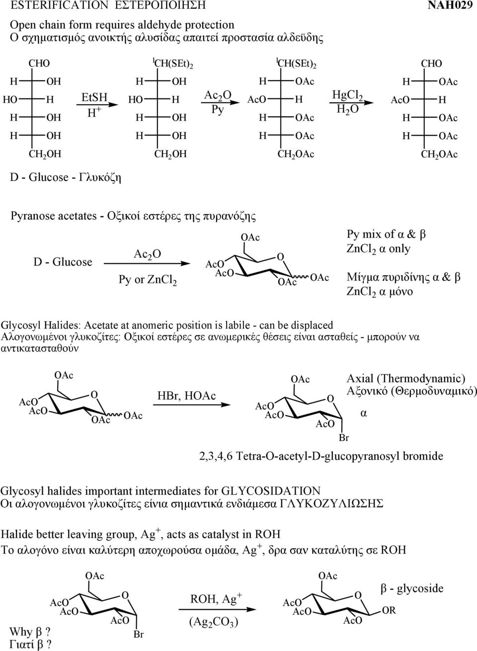 ZnCl 2 α μόνο Glycosyl alides: Acetate at anomeric position is labile - can be displaced Αλογονωμένοι γλυκοζίτες: Οξικοί εστέρες σε ανωμερικές θέσεις είναι ασταθείς - μπορούν να αντικατασταθούν Ac Ac
