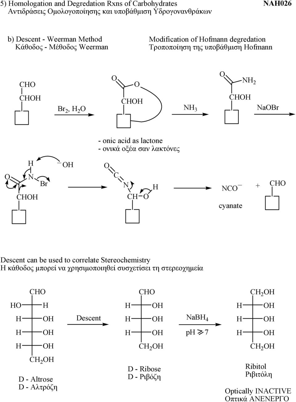 lactone - ονικά οξέα σαν λακτόνες C N C _ NC cyanate C Descent can be used to correlate Stereochemistry Η κάθοδος μπορεί να χρησιμοποιηθεί