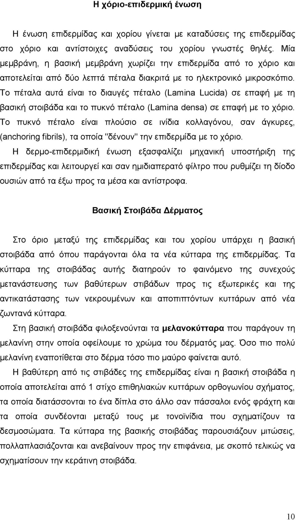 Το πέταλα αυτά είναι το διαυγές πέταλο (Lamina Lucida) σε επαφή µε τη βασική στοιβάδα και το πυκνό πέταλο (Lamina densa) σε επαφή µε το χόριο.