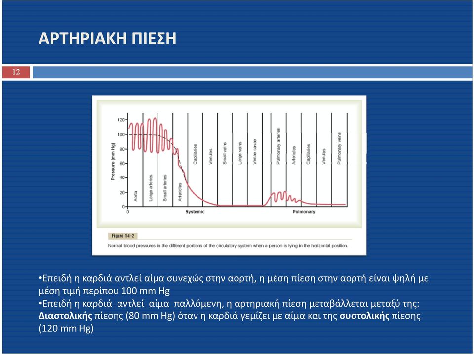 αντλεί αίμα παλλόμενη, η αρτηριακή πίεση μεταβάλλεται μεταξύ της: Διαστολικής