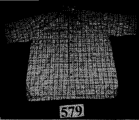 [R +53