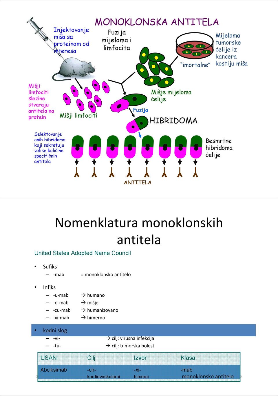 Infiks 28.