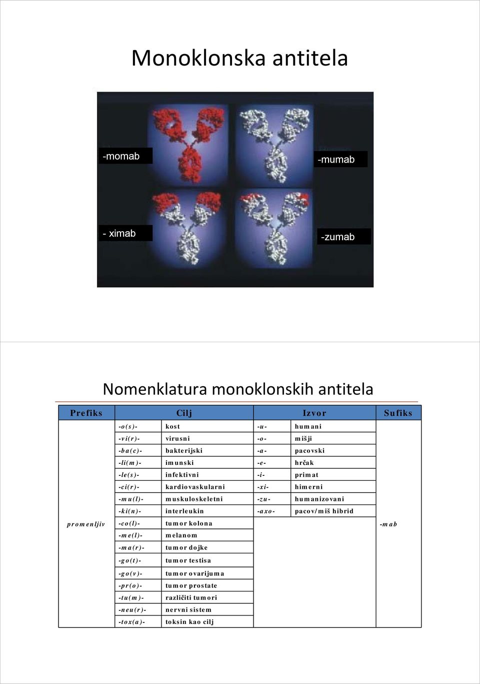 -mu(l)- muskuloskeletni -zu- humanizovani -ki(n)- interleukin -axo- pacov/miš hibrid promenljiv -co(l)- tumor kolona -mab -me(l)- melanom -ma(r)-