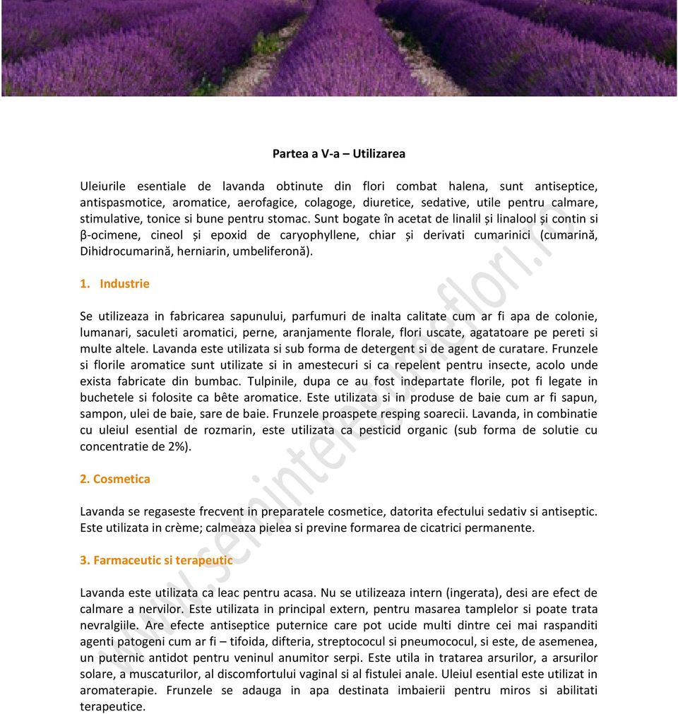 Sunt bogate în acetat de linalil și linalool și contin si β-ocimene, cineol și epoxid de caryophyllene, chiar și derivati cumarinici (cumarină, Dihidrocumarină, herniarin, umbeliferonă). 1.