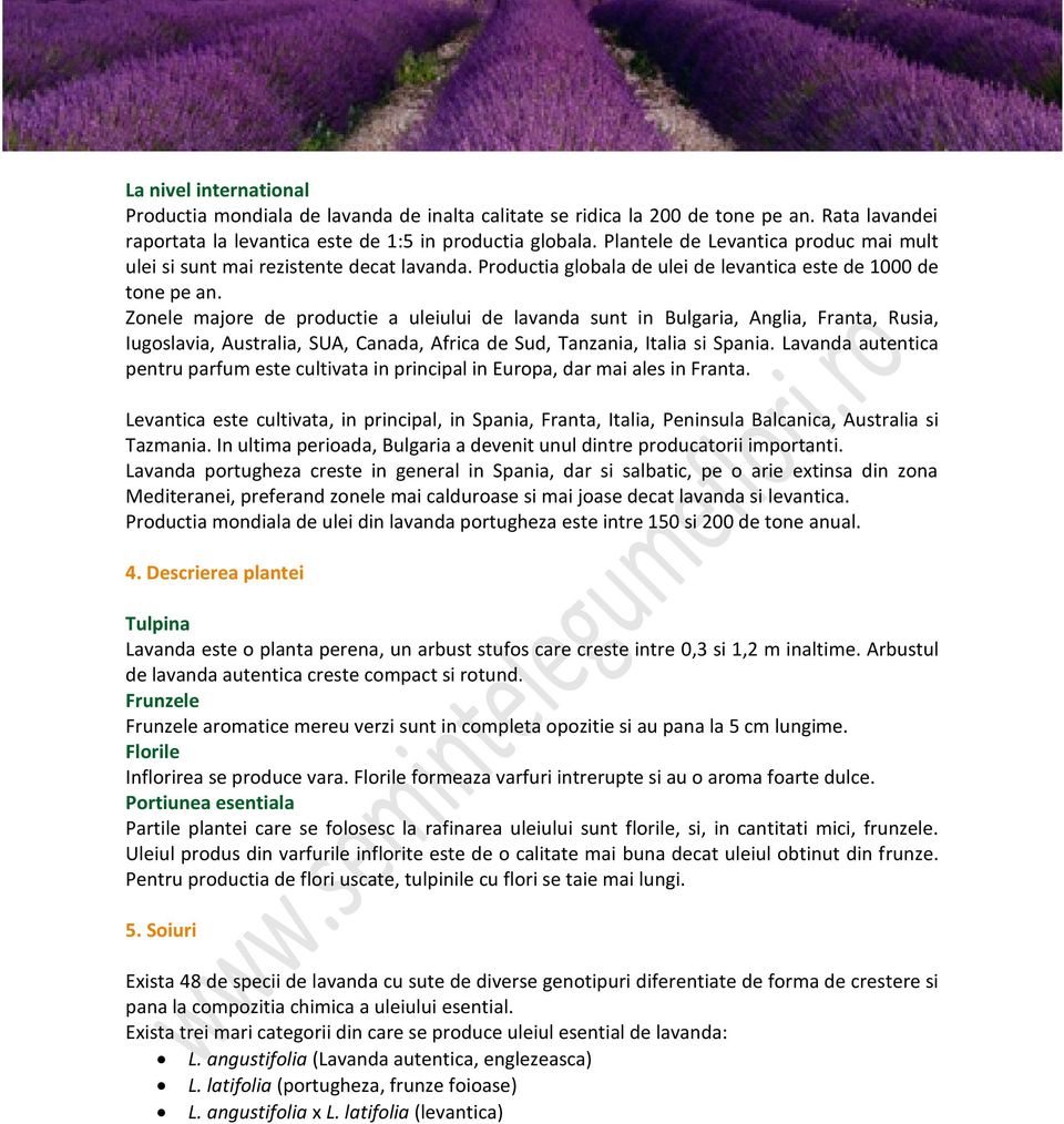 Zonele majore de productie a uleiului de lavanda sunt in Bulgaria, Anglia, Franta, Rusia, Iugoslavia, Australia, SUA, Canada, Africa de Sud, Tanzania, Italia si Spania.