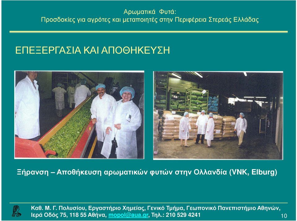 Αποθήκευση αρωµατικών
