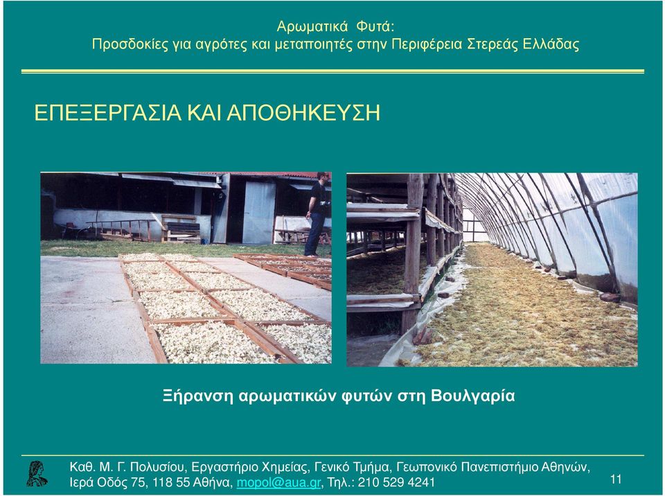 Ξήρανση