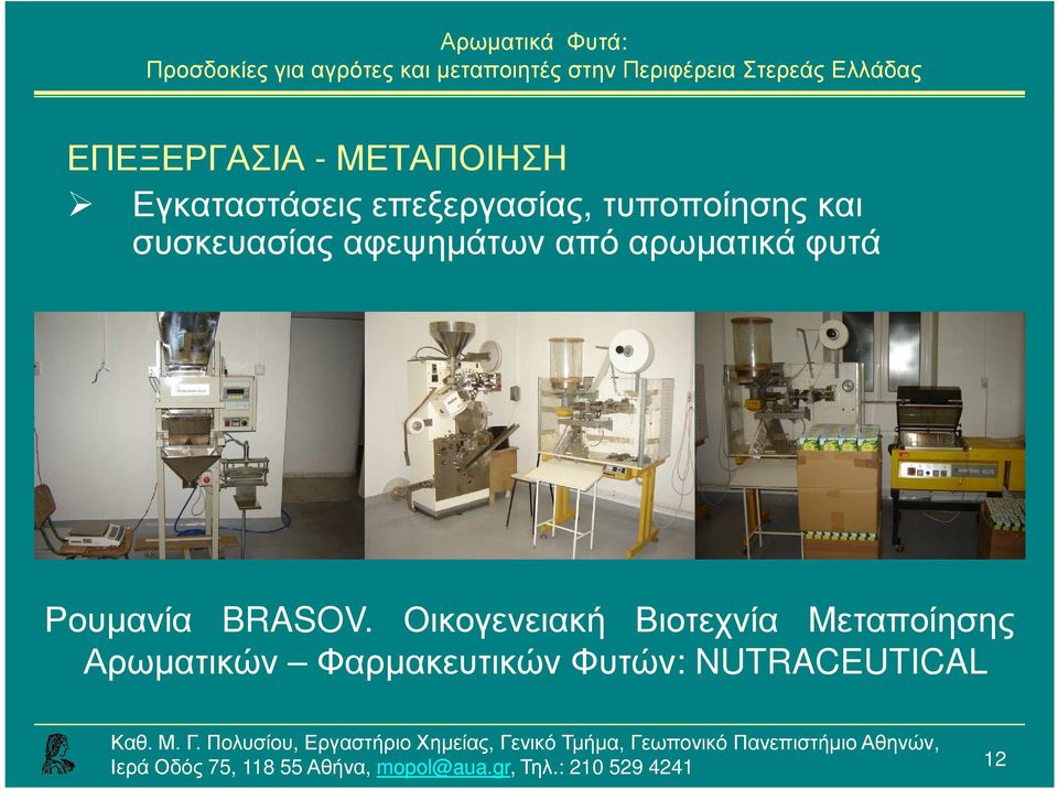 φυτά Ρουµανία BRASOV.
