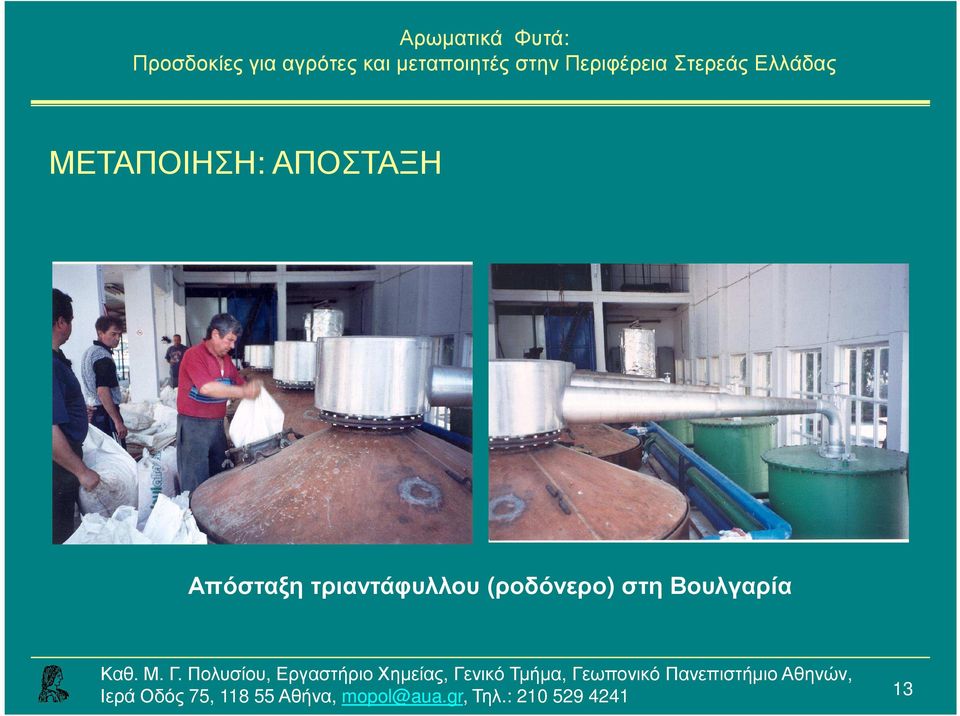 τριαντάφυλλου