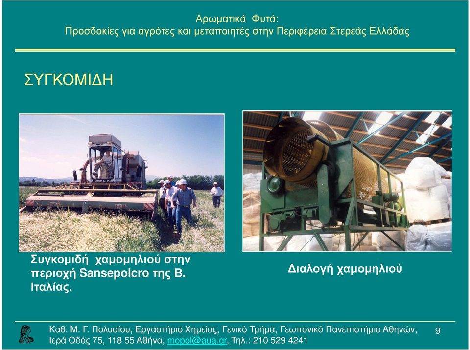 περιοχή Sansepolcroτης