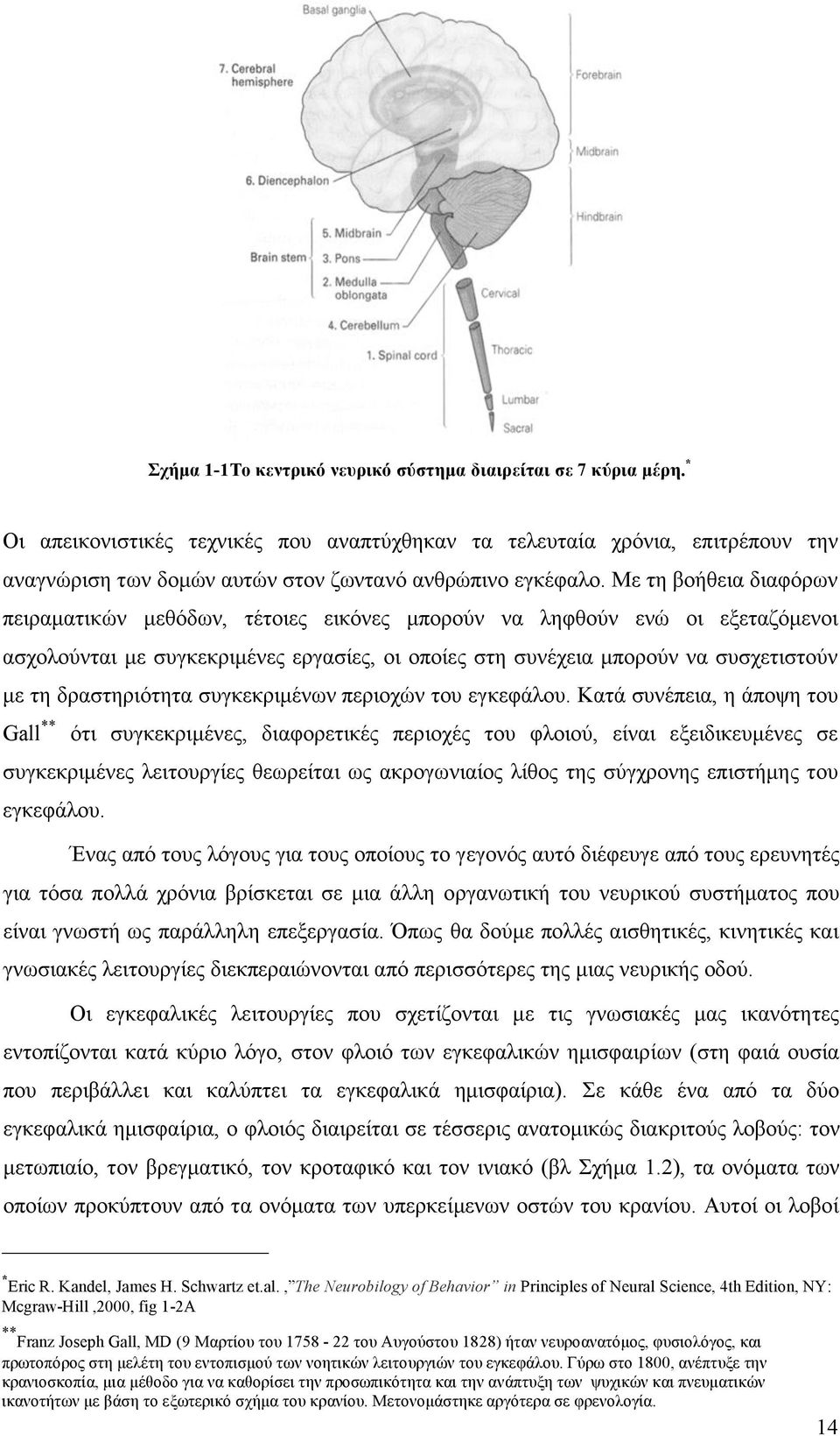 Με τη βοήθεια διαφόρων πειραµατικών µεθόδων, τέτοιες εικόνες µπορούν να ληφθούν ενώ οι εξεταζόµενοι ασχολούνται µε συγκεκριµένες εργασίες, οι οποίες στη συνέχεια µπορούν να συσχετιστούν µε τη