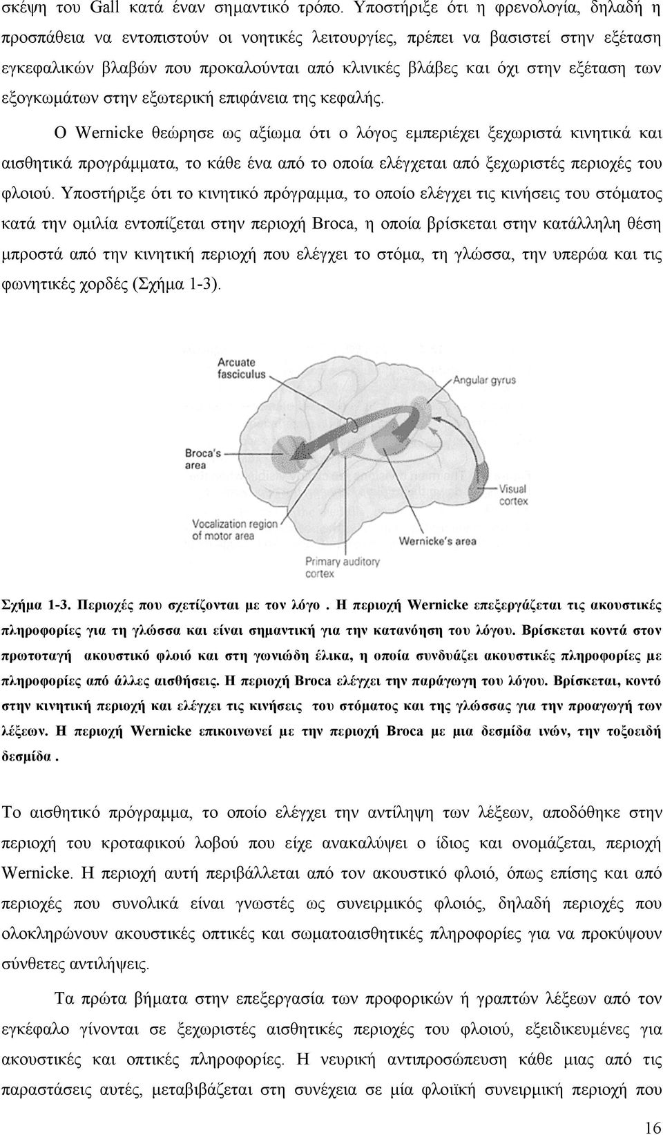 των εξογκωµάτων στην εξωτερική επιφάνεια της κεφαλής.