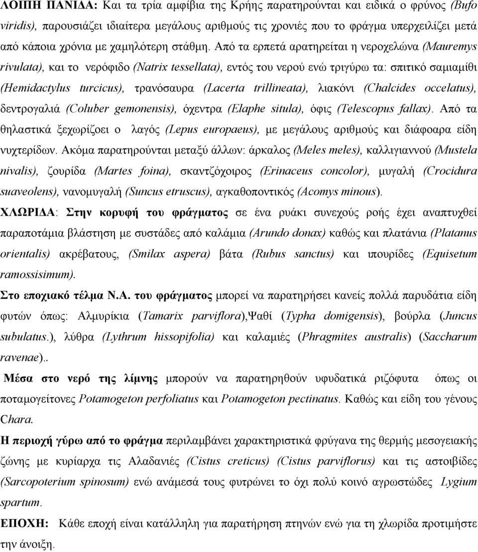 Από τα ερπετά αρατηρείται η νεροχελώνα (Mauremys rivulata), και το νερόφιδο (Natrix tessellata), εντός του νερού ενώ τριγύρω τα: σπιτικό σαµιαµίθι (Hemidactylus turcicus), τρανόσαυρα (Lacerta