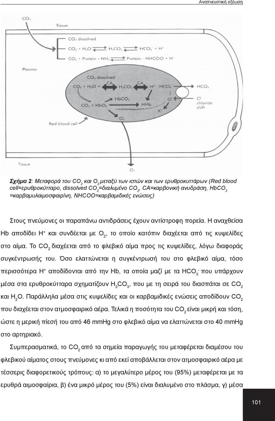 Το CO 2 διαχέεται από το φλεβικό αίμα προς τις κυψελίδες, λόγω διαφοράς συγκέντρωσής του.