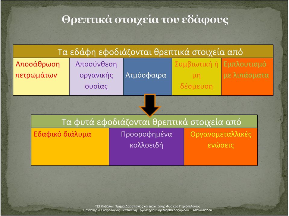 Εμπλουτισμό με λιπάσματα Τα φυτά εφοδιάζονται θρεπτικά στοιχεία