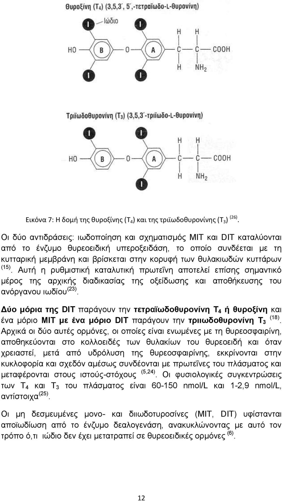 κυττάρων (15). Αυτή η ρυθμιστική καταλυτική πρωτεΐνη αποτελεί επίσης σημαντικό μέρος της αρχικής διαδικασίας της οξείδωσης και αποθήκευσης του ανόργανου ιωδίου (23).