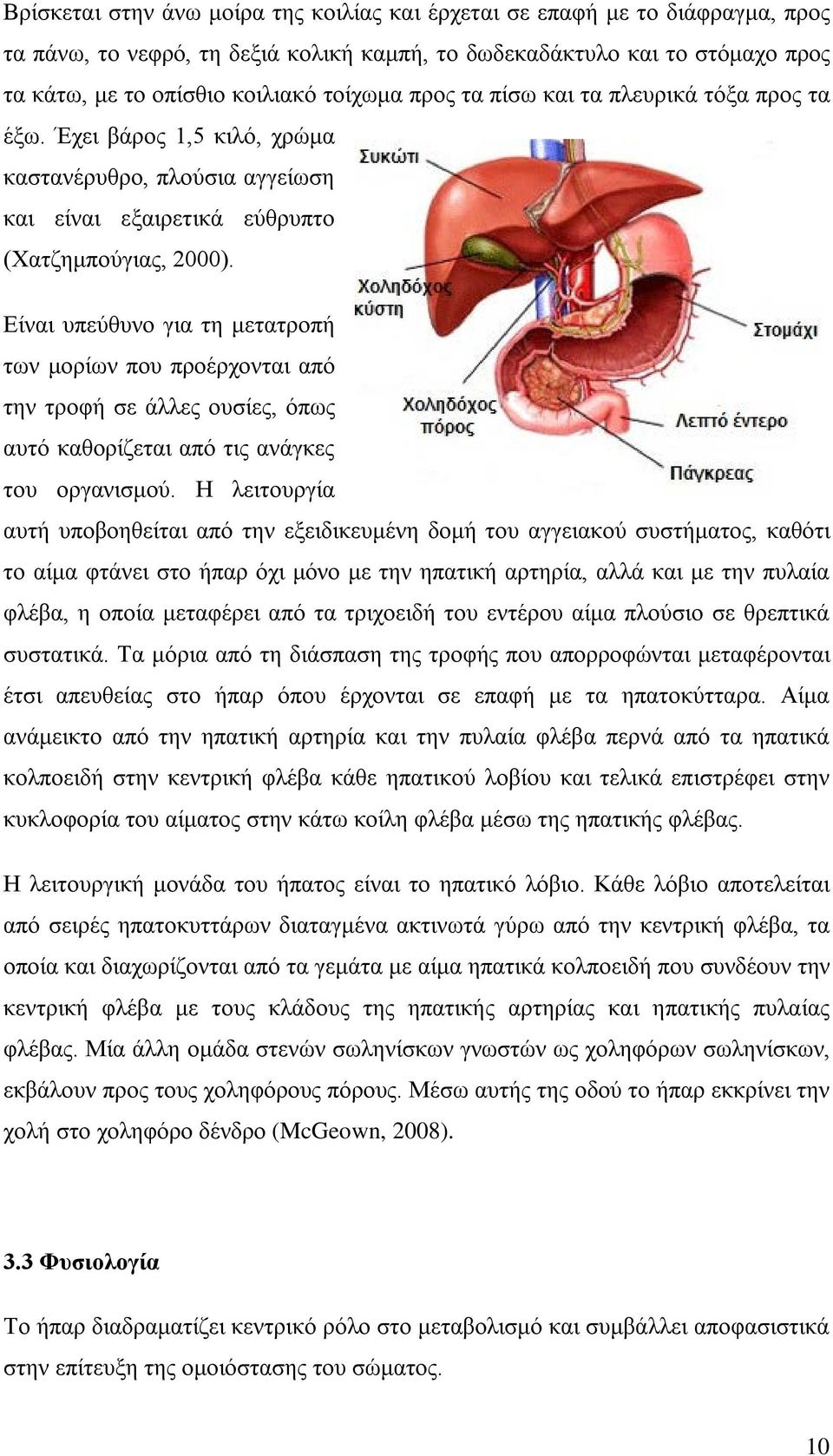 Είναι υπεύθυνο για τη μετατροπή των μορίων που προέρχονται από την τροφή σε άλλες ουσίες, όπως αυτό καθορίζεται από τις ανάγκες του οργανισμού.