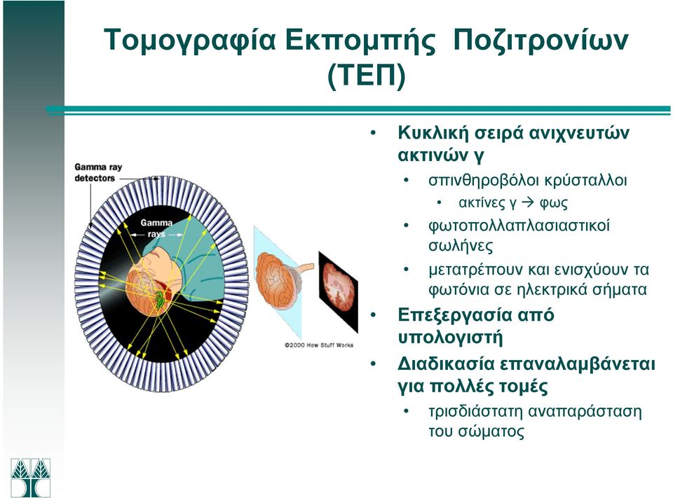 µετατρέπουν και ενισχύουν τα φωτόνια σε ηλεκτρικά σήµατα Επεξεργασία από