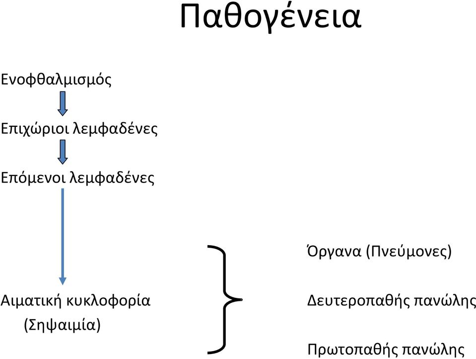 (Πνεύμονες) Αιματική κυκλοφορία