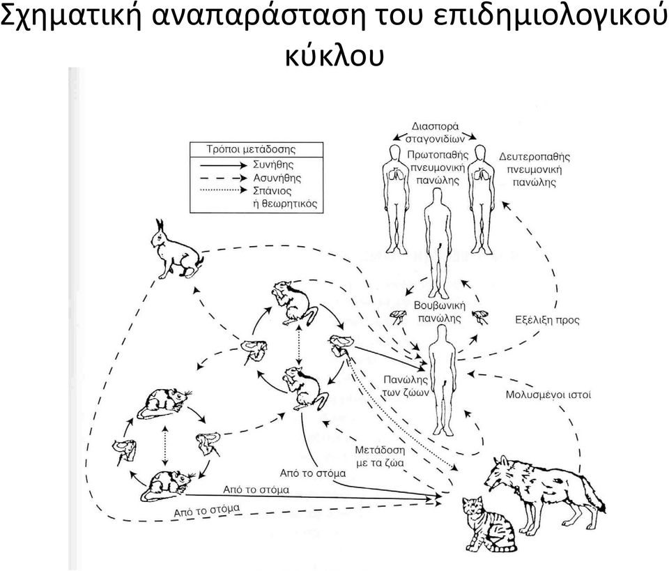 του