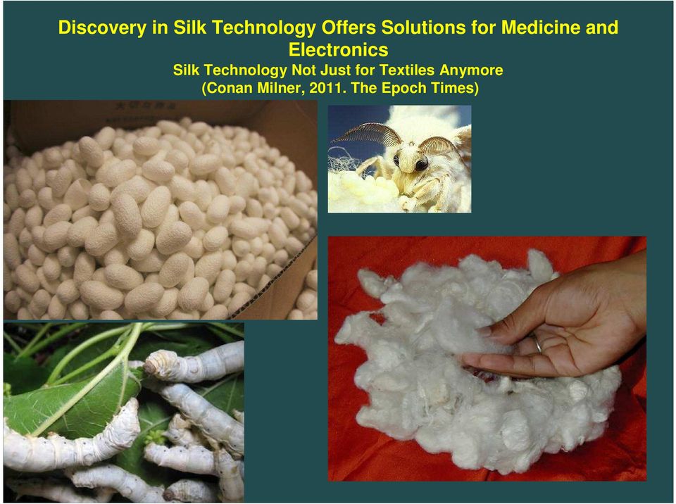 Silk Technology Not Just for Textiles