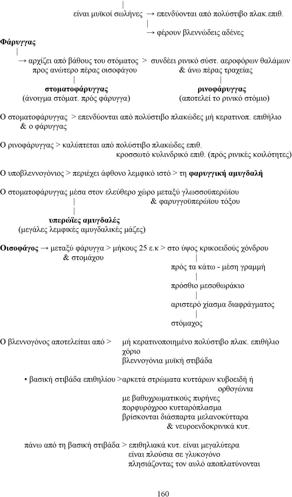 πρός φάρυγγα) (αποτελεί το ρινικό στόµιο) O στοµατοφάρυγγας > επενδύονται από πολύστιβο πλακώδες µή κερατινοπ. επιθήλιο & ο φάρυγγας O ρινοφάρυγγας > καλύπτεται από πολύστιβο πλακώδες επιθ.