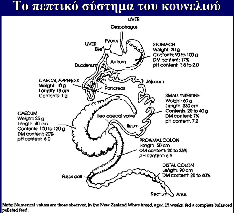 σύστημα