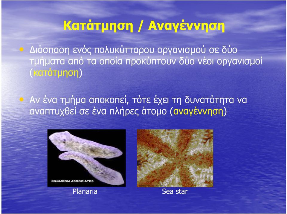 (κατάτμηση) Αν ένα τμήμα αποκοπεί, τότε έχει τη δυνατότητα