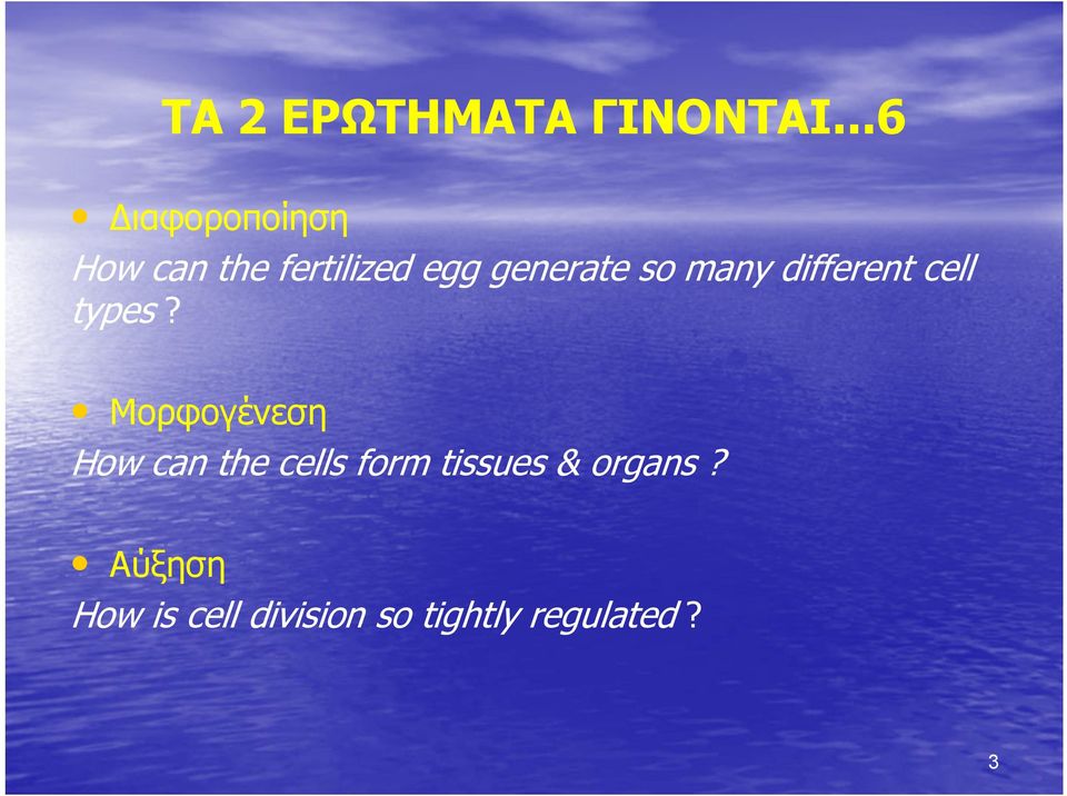 so many different cell types?