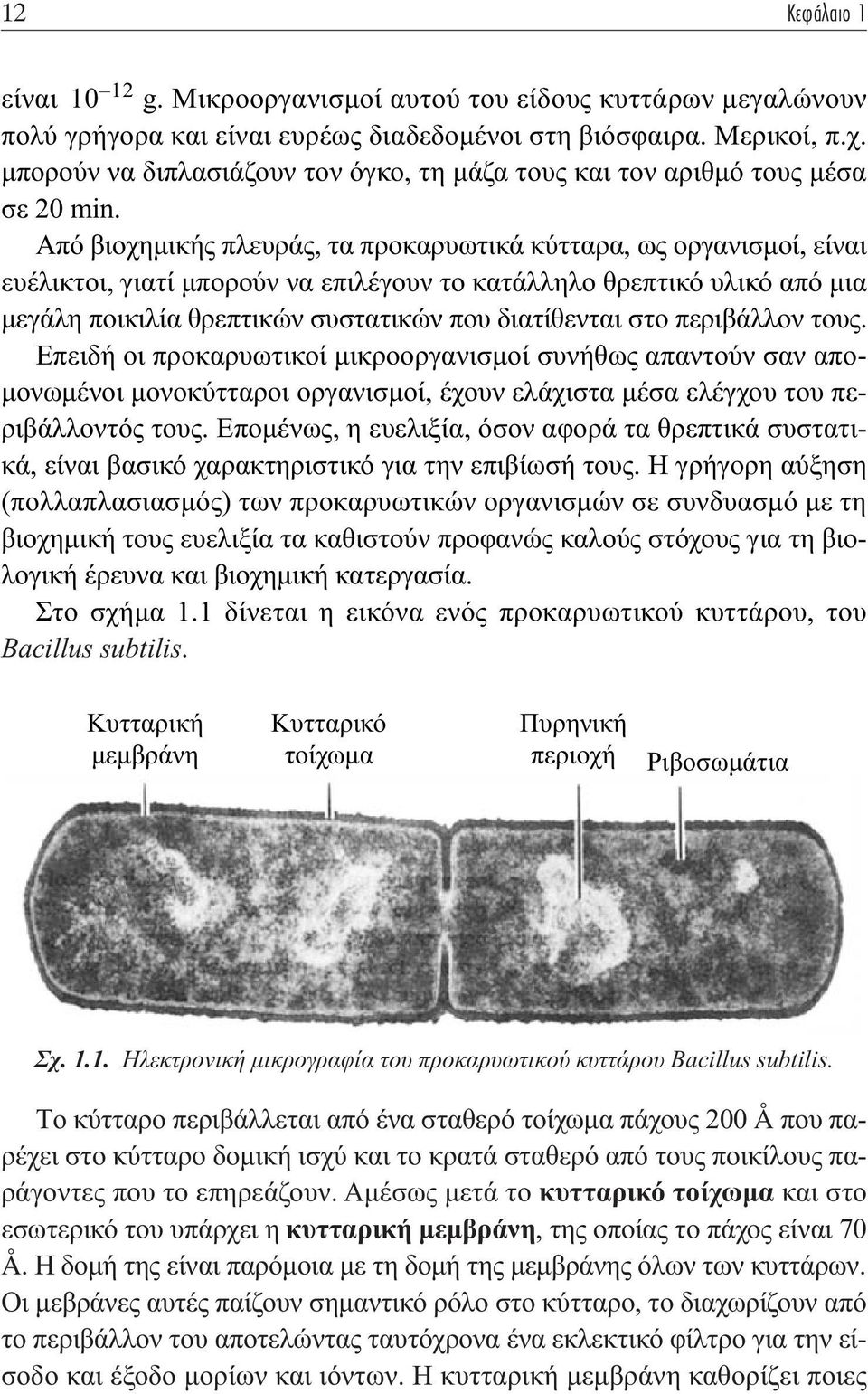 Από βιοχηµικής πλευράς, τα προκαρυωτικά κύτταρα, ως οργανισµοί, είναι ευέλικτοι, γιατί µπορούν να επιλέγουν το κατάλληλο θρεπτικό υλικό από µια µεγάλη ποικιλία θρεπτικών συστατικών που διατίθενται