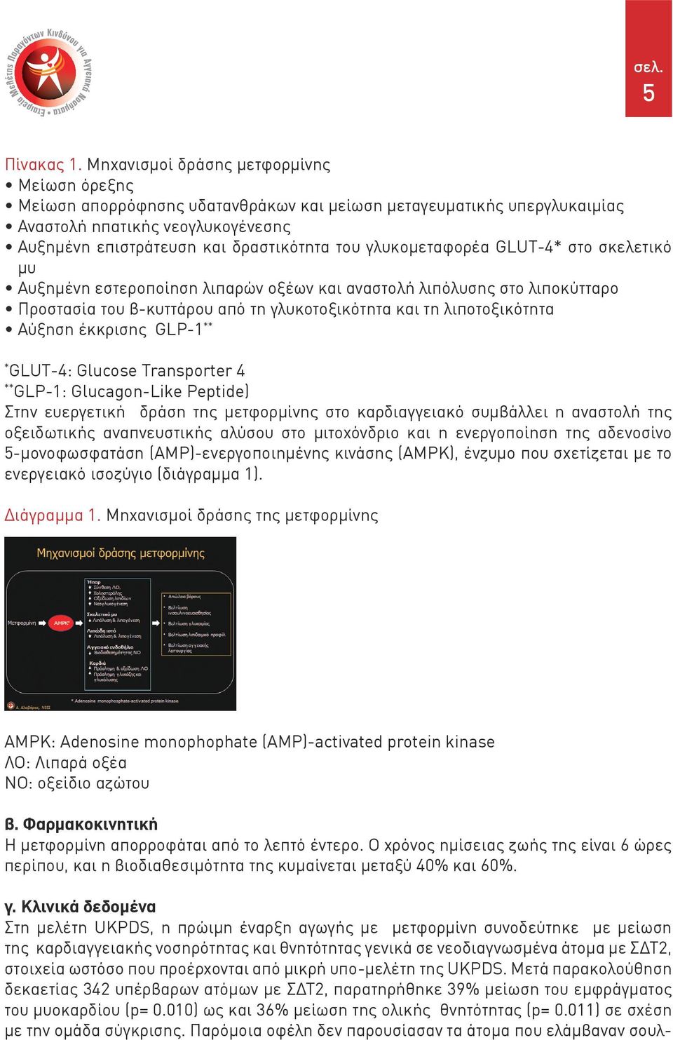 γλυκομεταφορέα GLUT-4* στο σκελετικό μυ Αυξημένη εστεροποίηση λιπαρών οξέων και αναστολή λιπόλυσης στο λιποκύτταρο Προστασία του β-κυττάρου από τη γλυκοτοξικότητα και τη λιποτοξικότητα Αύξηση