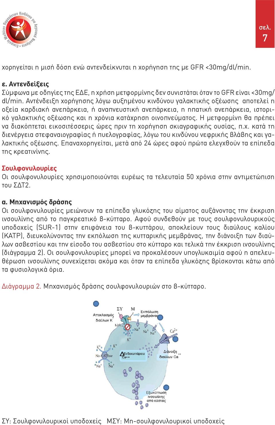 κατάχρηση οινοπνεύματος. Η μετφορμίνη θα πρέπει να διακόπτεται εικοσιτέσσερις ώρες πριν τη χορήγηση σκιαγραφικής ουσίας, π.χ. κατά τη διενέργεια στεφαναιογραφίας ή πυελογραφίας, λόγω του κινδύνου νεφρικής βλάβης και γαλακτικής οξέωσης.