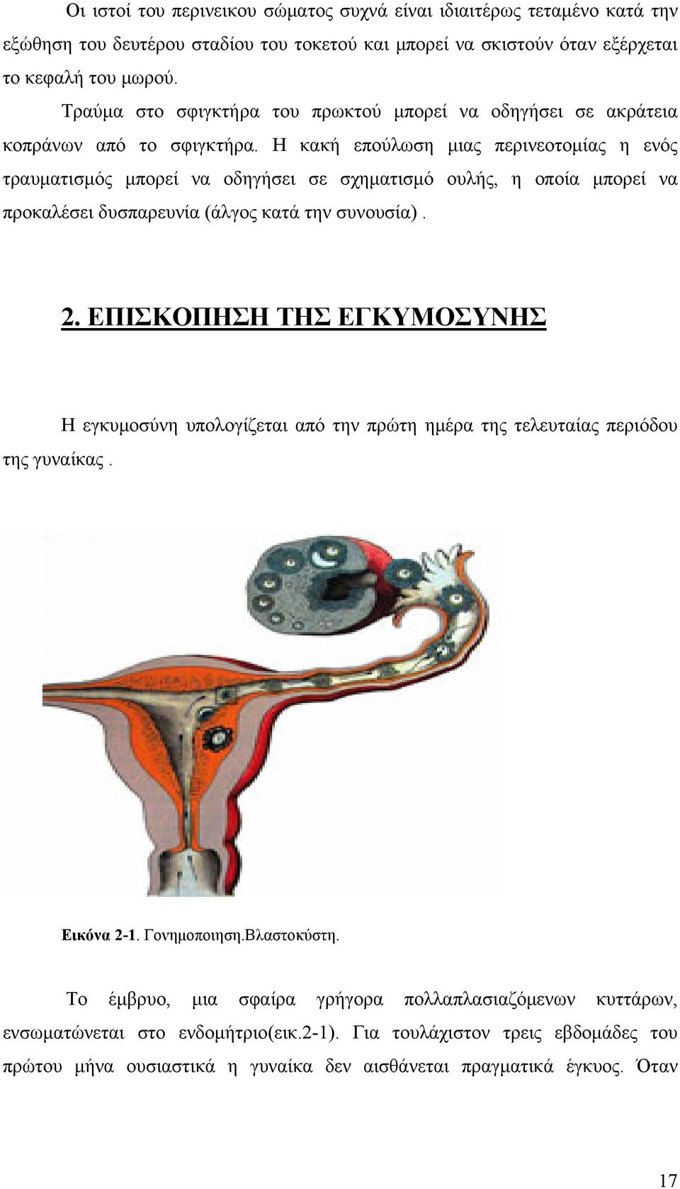 Η κακή επούλωση μιας περινεοτομίας η ενός τραυματισμός μπορεί να οδηγήσει σε σχηματισμό ουλής, η οποία μπορεί να προκαλέσει δυσπαρευνία (άλγος κατά την συνουσία). 2.