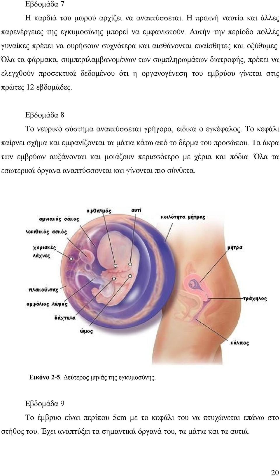 Όλα τα φάρμακα, συμπεριλαμβανομένων των συμπληρωμάτων διατροφής, πρέπει να ελεγχθούν προσεκτικά δεδομένου ότι η οργανογένεση του εμβρύου γίνεται στις πρώτες 12 εβδομάδες.