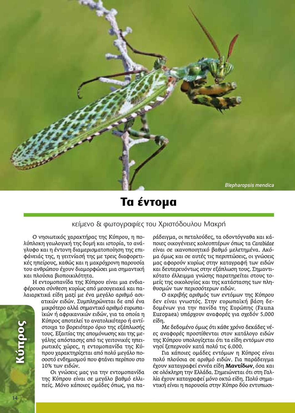 Η εντομοπανίδα της Κύπρου είναι μια ενδιαφέρουσα σύνθεση κυρίως από μεσογειακά και παλαιαρκτικά είδη μαζί με ένα μεγάλο αριθμό ασιατικών ειδών.