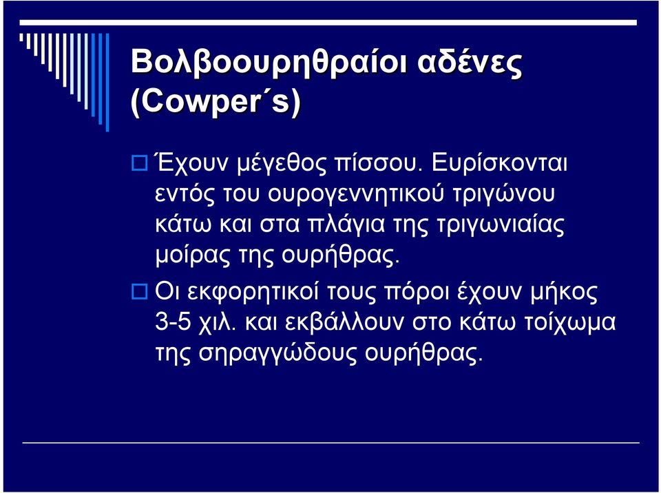 της τριγωνιαίας μοίρας της ουρήθρας.