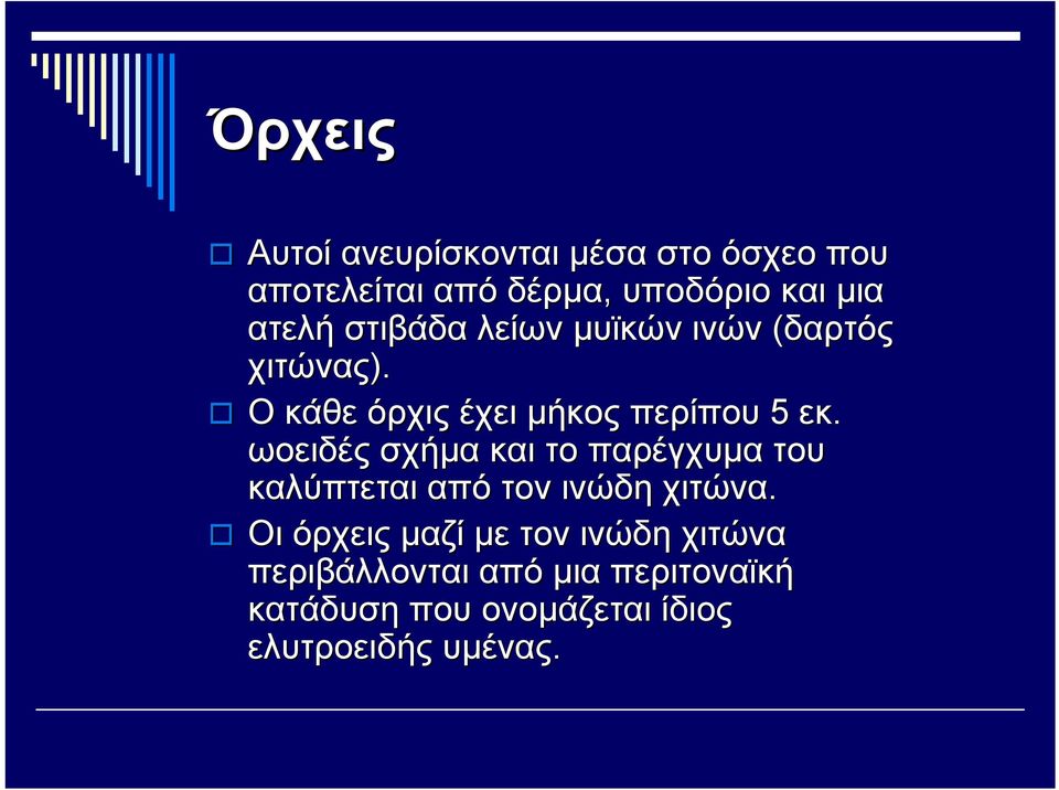 ωοειδές σχήμα και το παρέγχυμα του καλύπτεται από τον ινώδη χιτώνα.