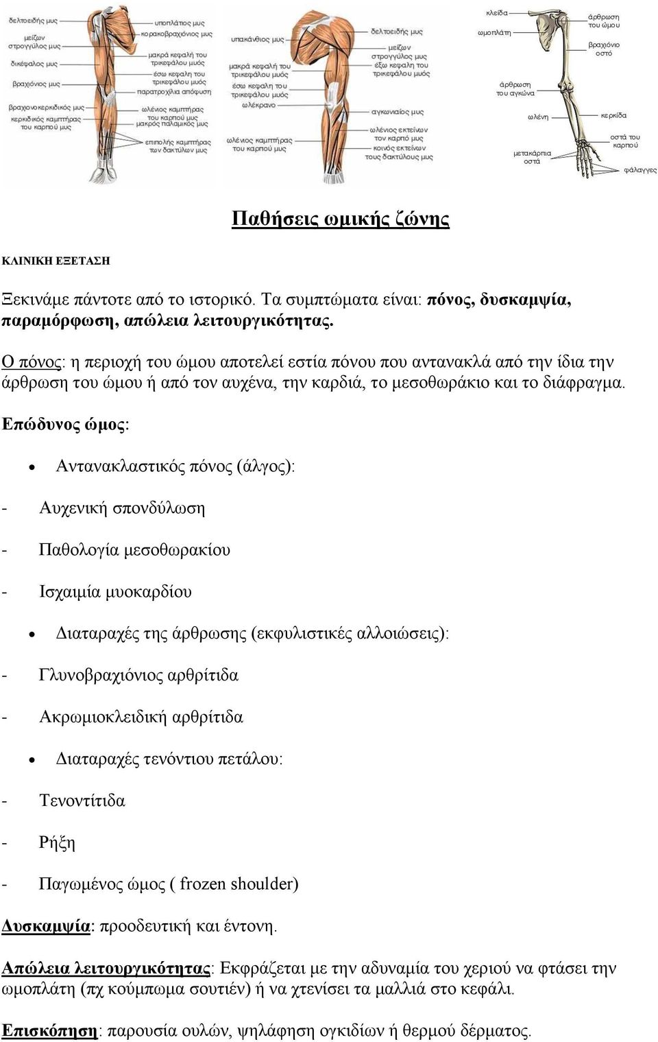 Δπώδπλνο ώκνο: Αληαλαθιαζηηθόο πόλνο (άιγνο): - Απρεληθή ζπνλδύισζε - Παζνινγία κεζνζσξαθίνπ - Ηζραηκία κπνθαξδίνπ Γηαηαξαρέο ηεο άξζξσζεο (εθθπιηζηηθέο αιινηώζεηο): - Γιπλνβξαρηόληνο αξζξίηηδα -