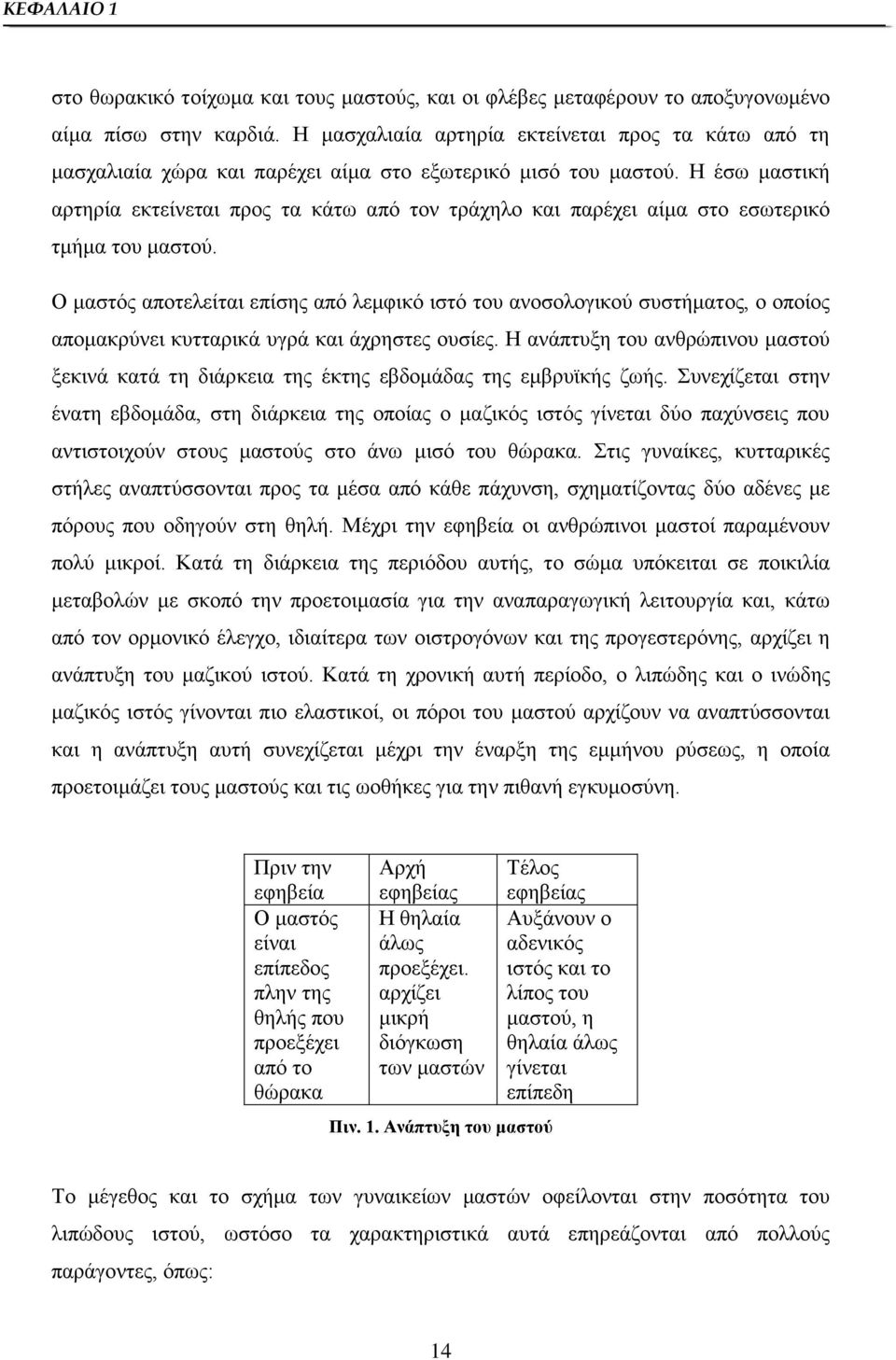 Η έσω μαστική αρτηρία εκτείνεται προς τα κάτω από τον τράχηλο και παρέχει αίμα στο εσωτερικό τμήμα του μαστού.