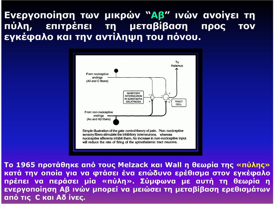 Το 1965 προτάθηκε από τους Melzack και Wall ηθεωρίατης«πύλης» κατά την οποία για να φτάσει ένα