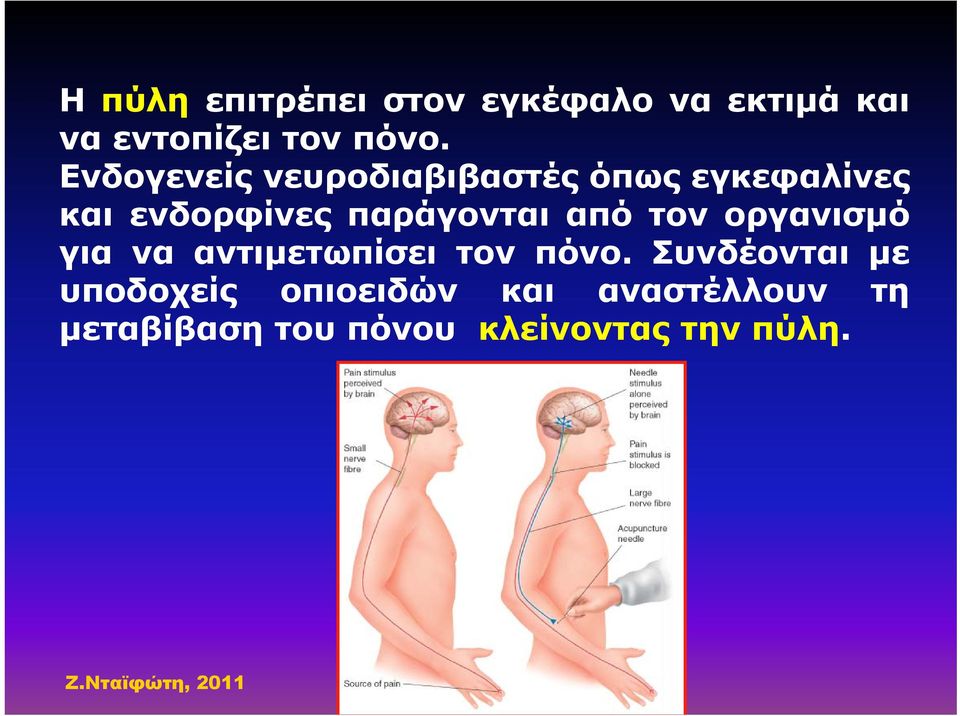 από τον οργανισμό για να αντιμετωπίσει τον πόνο.