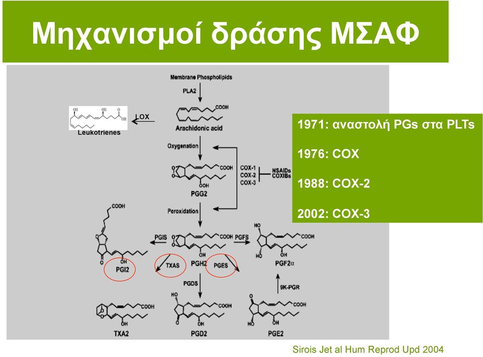 PGs στα PLTs 1976: CΟΧ 1988: