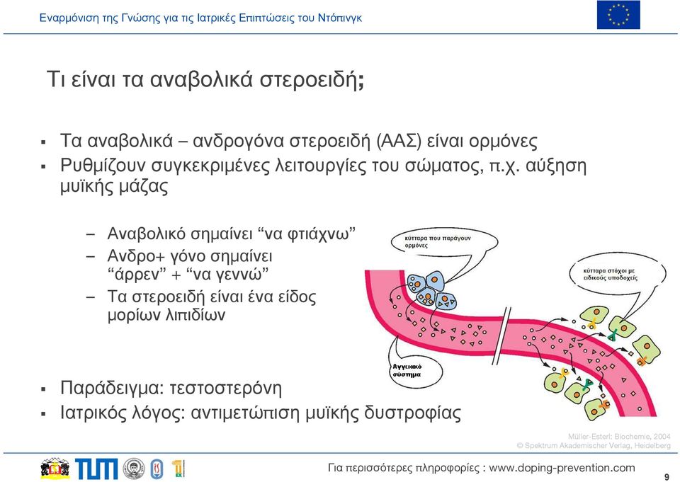 αύξηση μυϊκής μάζας Αναβολικό σημαίνει να φτιάχνω Ανδρο+ γόνο σημαίνει άρρεν + να γεννώ Τα στεροειδή