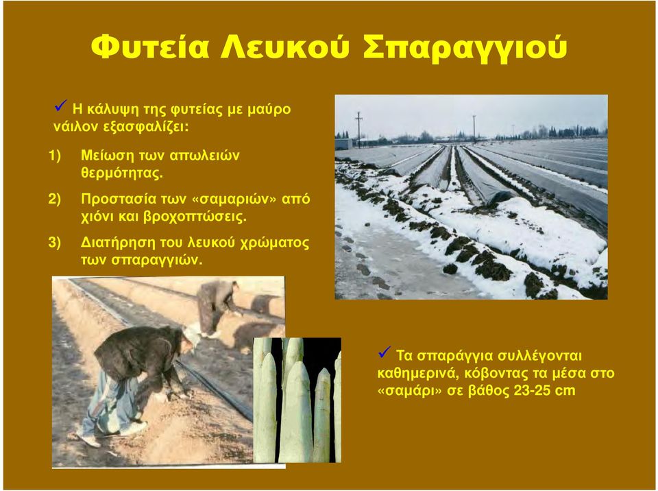 2) Προστασία των «σαµαριών» από χιόνι και βροχοπτώσεις.