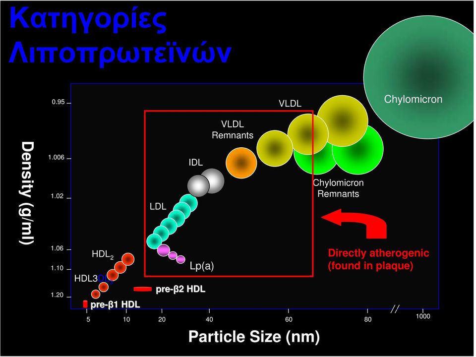 06 1.10 HDL 2 LDL Chylomicron Remnants 1.